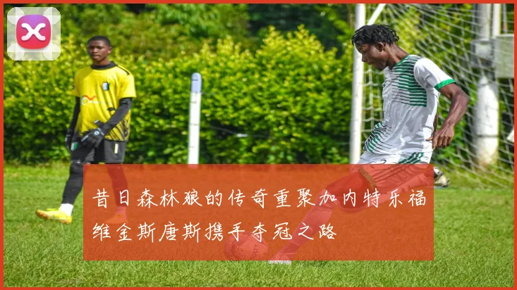 昔日森林狼的传奇重聚加内特乐福维金斯唐斯携手夺冠之路